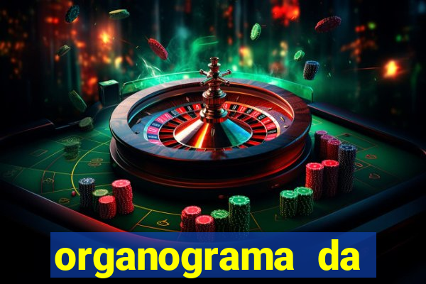 organograma da cacau show